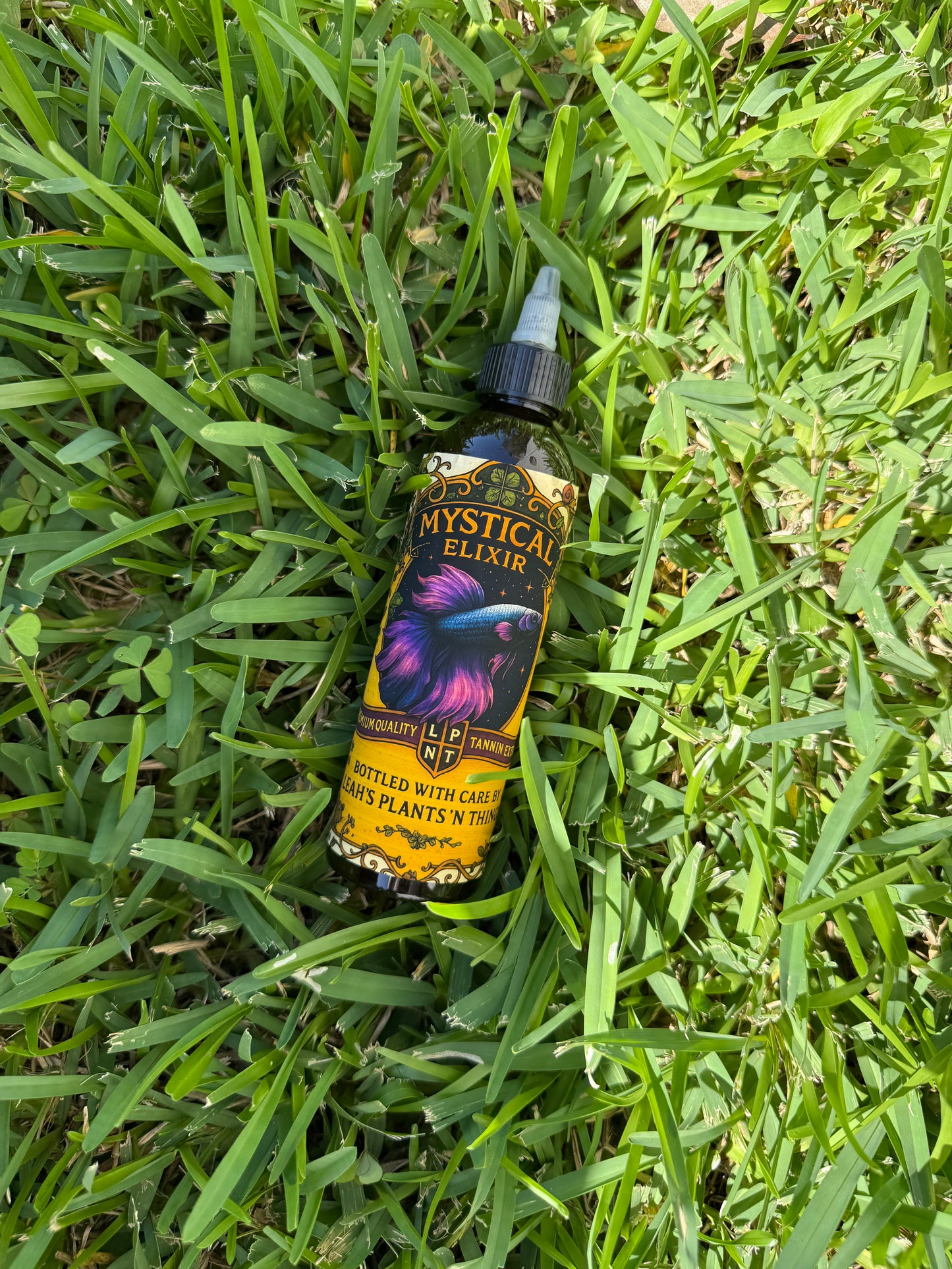 Elixir: Tea of the Deep Wood