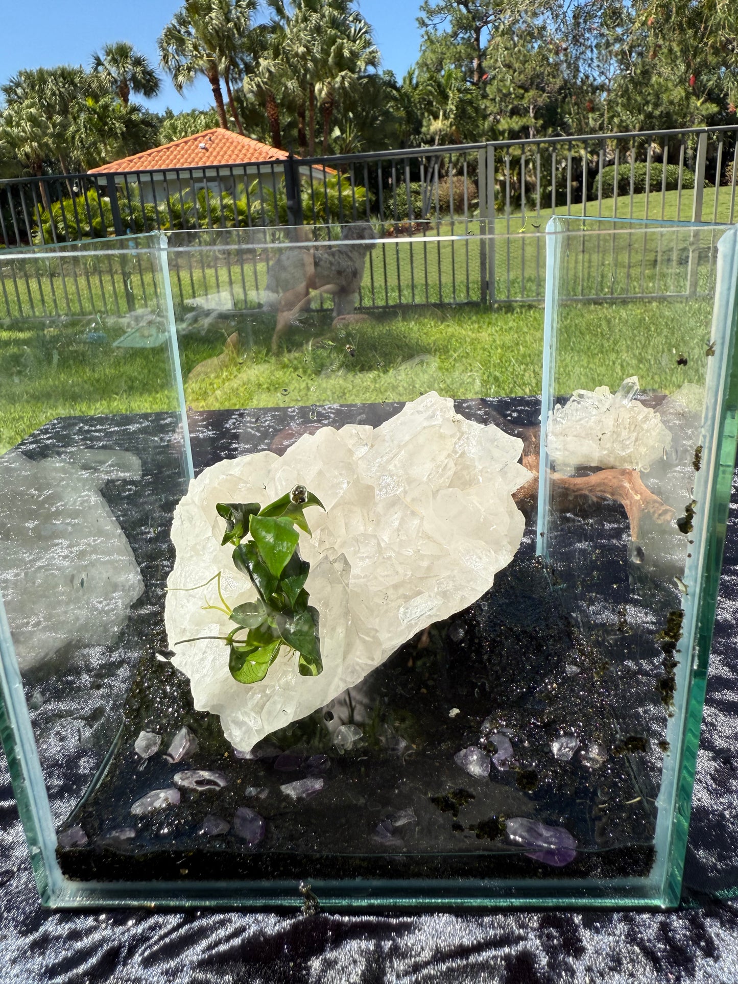 X-Large Quartz Altar Stone – Large Natural Crystal for Aquariums 'N Terrariums