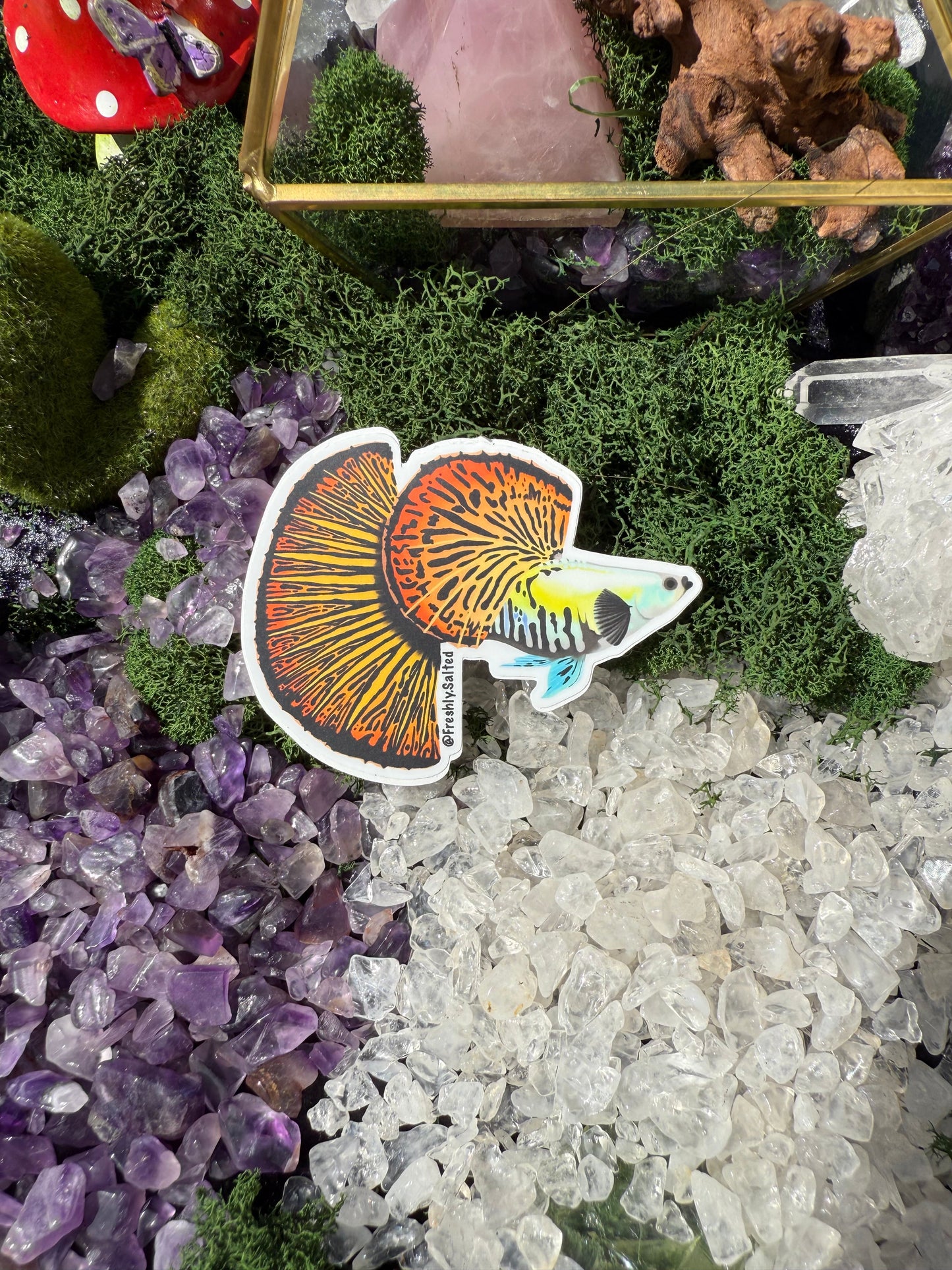 Fancy Guppy Sticker