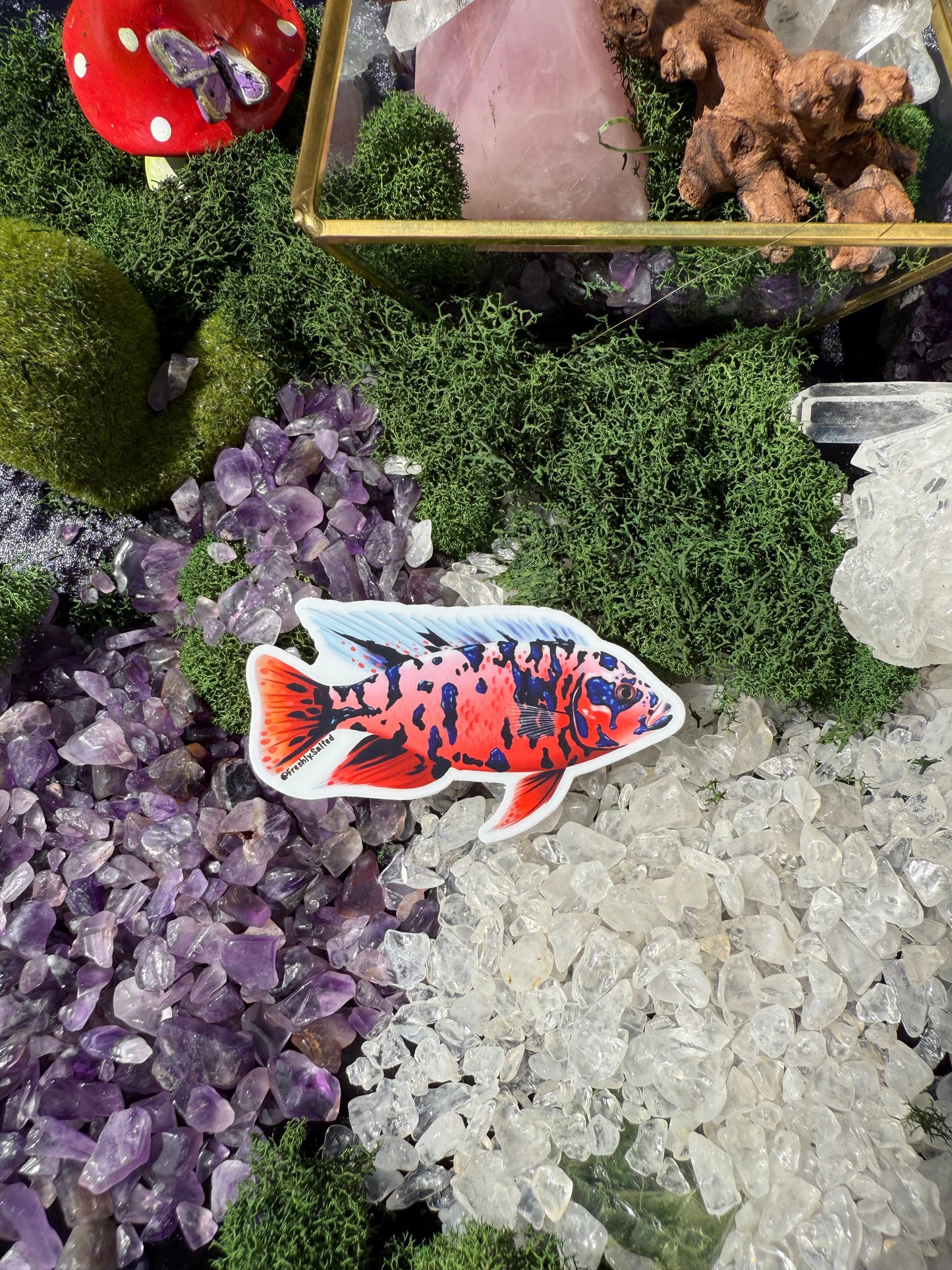 Peackock Chichlid Sticker