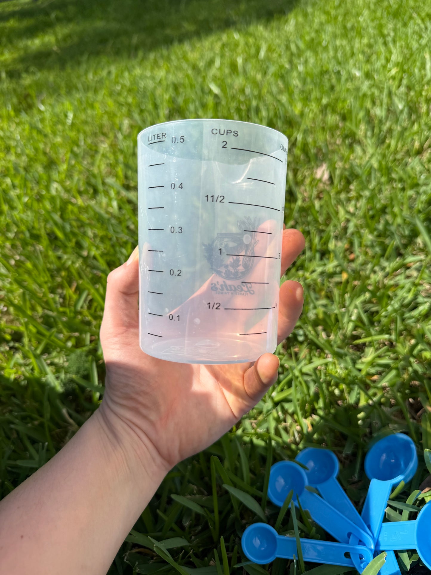 The Brew Cup