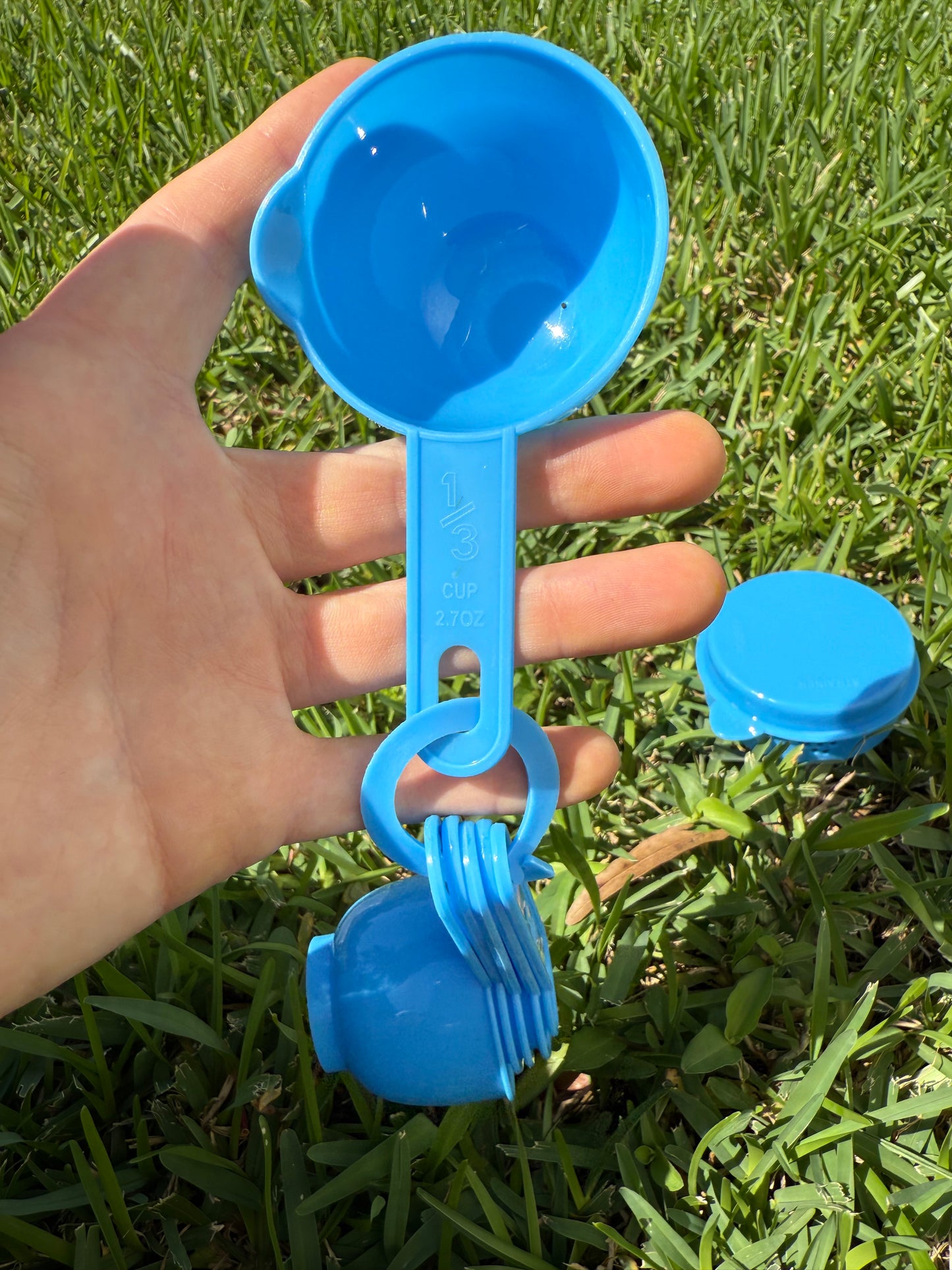 The Brew Cup