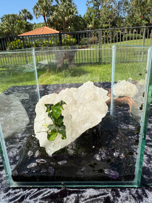 X-Large Quartz Altar Stone – Large Natural Crystal for Aquariums 'N Terrariums