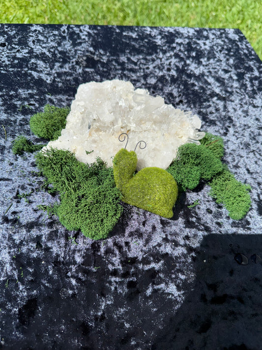 X-Large Quartz Altar Stone – Large Natural Crystal for Aquariums 'N Terrariums