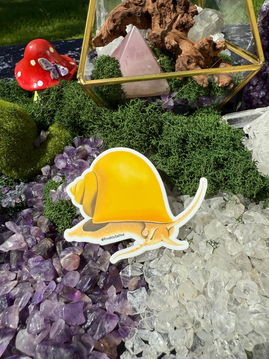 Yellow Mystery Snail Sticker