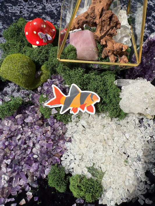 Clown Loach Sticker