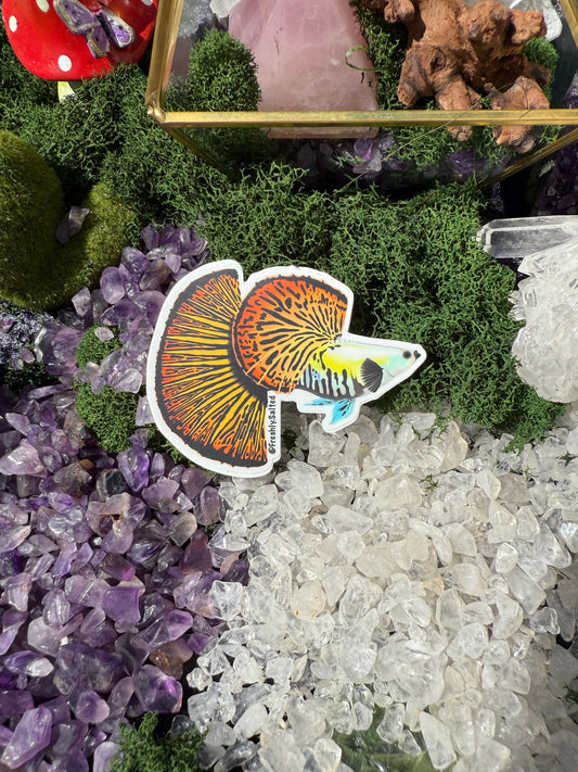 Fancy Guppy Sticker
