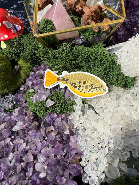 Congo Pufferfish Sticker