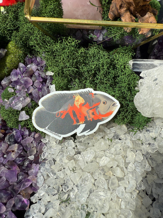 Oscar Cichlid Sticker