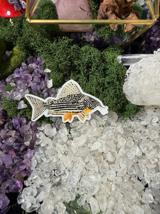 Peru Yellow Coryfish Sticker