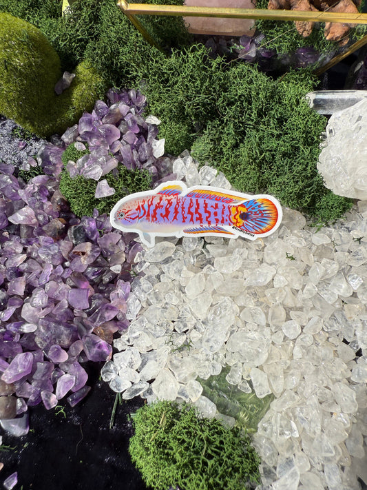 Peacock Gudgeon Sticker