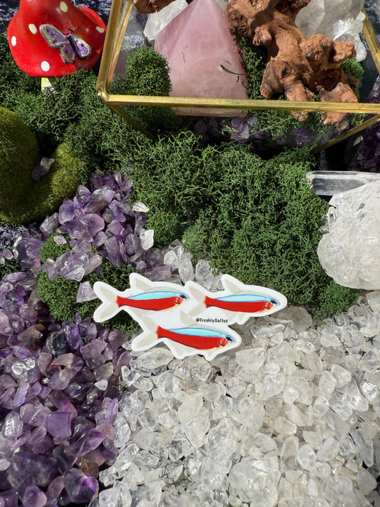 Neon Tetra School Sticker