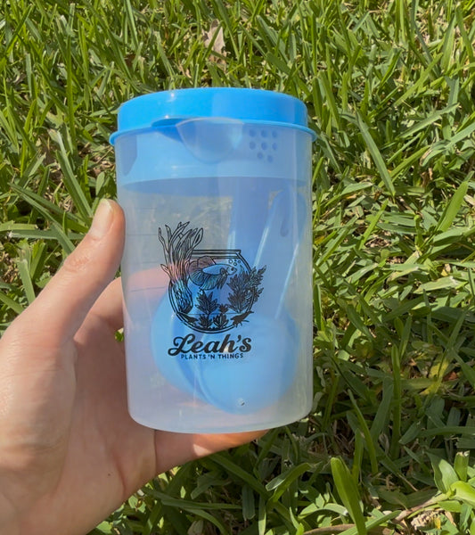 The Brew Cup