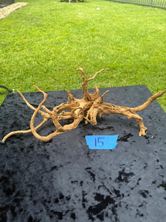 Large Tanglewood Root